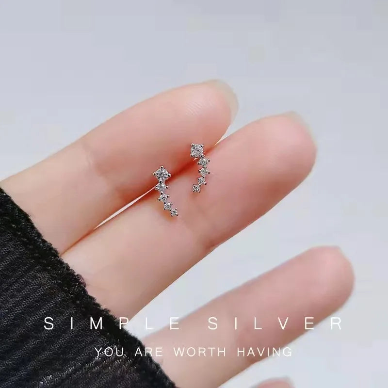 925 Silver Needle Zircon Earrings Hypoallergenic Fashion Ear Studs Female Pendant Tassel Pendant Earrings for Women Jewelry Gift-Dollar Bargains Online Shopping Australia