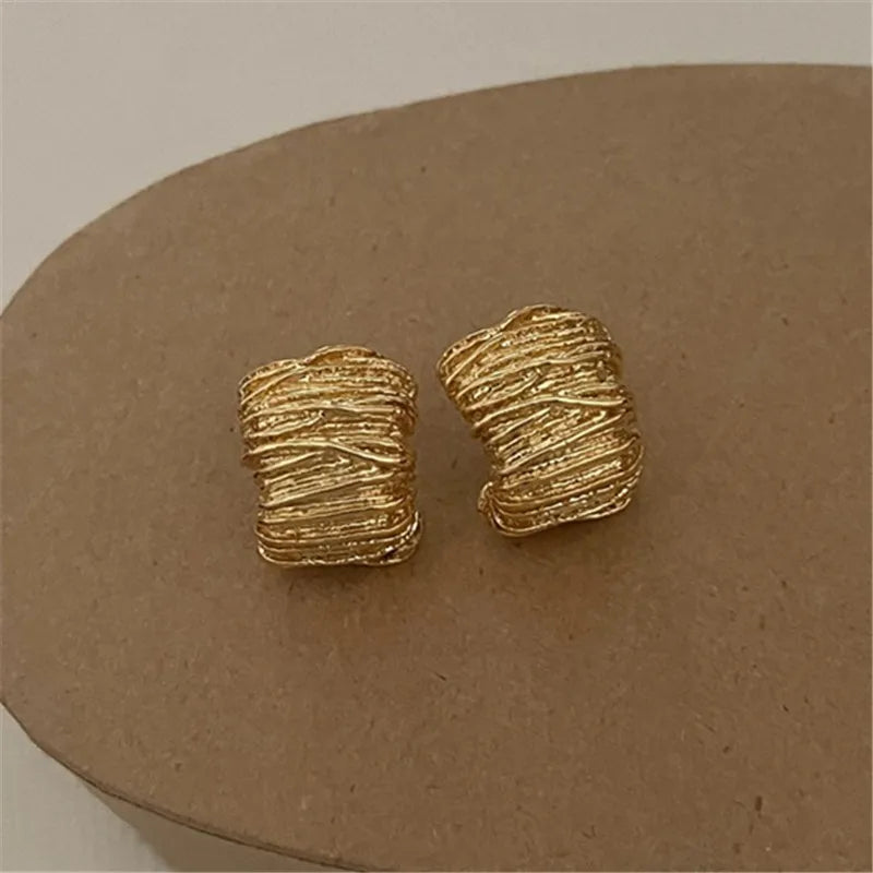 Geometric Metal Irregular Grain Stud Earrings For Women Punk Style Personality Earrings Travel Party Jewelry Gift-Dollar Bargains Online Shopping Australia