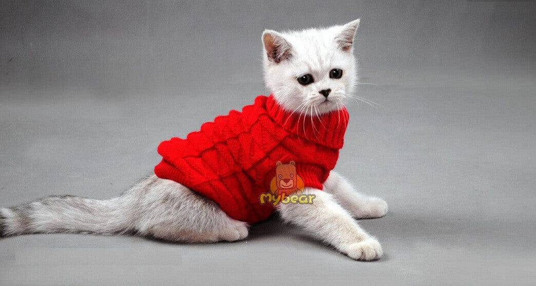 Cat clothes clearance online