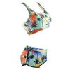 Sexy Bikinis Set Swimwear Women Swimsuits biquini Printing Shorts Straight Beachwear Swim Bathing Suits-Dollar Bargains Online Shopping Australia