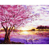 DIY Painting By Numbers Picture Colouring Zero Basis HandPainted Oil Painting Unique Gift Home Decor-Dollar Bargains Online Shopping Australia