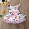 Princess Toddler Newborn Baby Girls Dress Flower Lace Tutu Party Wedding Birthday Dress For Girls Summer Baby Girl Clothing-Dollar Bargains Online Shopping Australia