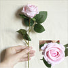 5Pcs Artificial Flowers Silk Rose Long Branch Bouquet for Wedding Home Decoration Fake Plants DIY Wreath Supplies Accessories-Dollar Bargains Online Shopping Australia