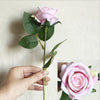 5Pcs Artificial Flowers Silk Rose Long Branch Bouquet for Wedding Home Decoration Fake Plants DIY Wreath Supplies Accessories-Dollar Bargains Online Shopping Australia