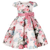 Summer Kids Flower Dresses for Girls Christmas Children Clothing Dress Princess Brithday Wedding Party Baby Girl Dress With Bow-Dollar Bargains Online Shopping Australia