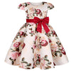 Summer Kids Flower Dresses for Girls Christmas Children Clothing Dress Princess Brithday Wedding Party Baby Girl Dress With Bow-Dollar Bargains Online Shopping Australia