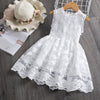 Girls Dress Embroidery Princess Party Autumn Spring Kids Children Clothes Elegant Purple And White 3-8ys Lace Girls Dresses-Dollar Bargains Online Shopping Australia