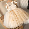 Toddler Girls Tulle Dress Kids Baby Girl Christmas Princess Dresses Wedding and Evening Robes Children 2022 New Year Clothes-Dollar Bargains Online Shopping Australia